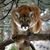Kelly Bootes's profile image