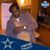 Karus Campbell's profile image