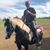 Branson Mosier's profile image