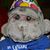 Damien Grumio Aardvark's profile image