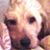 Christy Morris's profile image