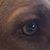 Robyn Hoskins's profile image