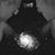 Bhava Scalli's profile image