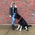 Glenda Jordan's profile image