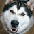 Ashlee Morris's profile image