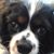 Cassandra Goebel's profile image