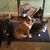 Katie Takacs's profile image