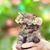 Angelita Flores's profile image
