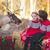 Renata Luque's profile image