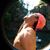 Tad Pfrimmer's profile image