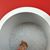 Nicole Goodrow Vennie's profile image