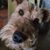 Suzanne Rodarte's profile image