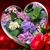 Diane Wallace Love's profile image