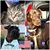 Loretta McAlister's profile image