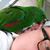Dave OBrien's profile image
