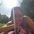Dawn Fischetti's profile image