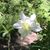 Pam Pinkston's profile image