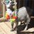 Angie Virata Baker's profile image