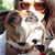 Pamela DiManna Donnelly's profile image