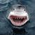 Richard Fasano's profile image