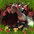 Carroll Larrimore's profile image