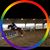 Karri Blake Todd's profile image