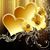 Kim Newman's profile image
