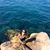 Ana Hoyos's profile image