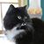 Ellen Cecchini-Gates's profile image