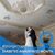 Jackie Predmore's profile image