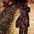 Andrea Carvajal's profile image