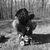 Samantha Cates's profile image