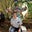 Brett Mapp's profile image
