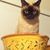 Bay Brown's profile image