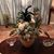 Maruka Heredia's profile image