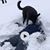 Jessica Chase-Johnson's profile image