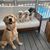 Leah Rittenhouse-Smith's profile image