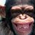 William Hurst's profile image