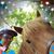 Julie Carpenter's profile image