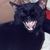Eileen Searson's profile image