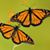 Denise Woelber Leitch's profile image