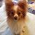 Debby Dolinsky's profile image
