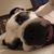 Vonnie Bonn Evans's profile image