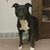 Cathy Welton Motter's profile image