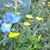 Donna Carouthers's profile image
