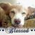 Judy Terracina's profile image
