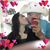 Eduardo Robledo's profile image