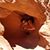 Martha Brody's profile image
