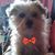 Jackie Williams's profile image