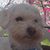 Debby Spotten's profile image